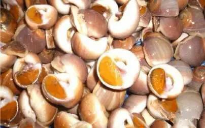 开海特价海鲜,开海的海鲜视频