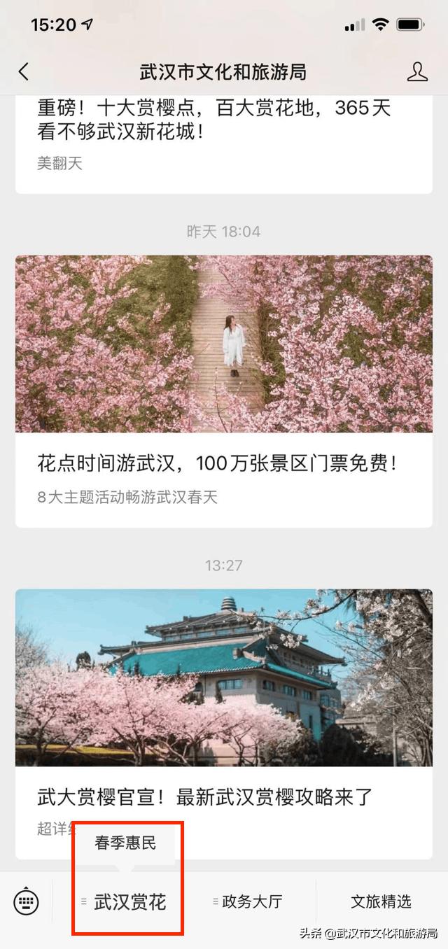 花young官方购票,花young套餐29元103g联通