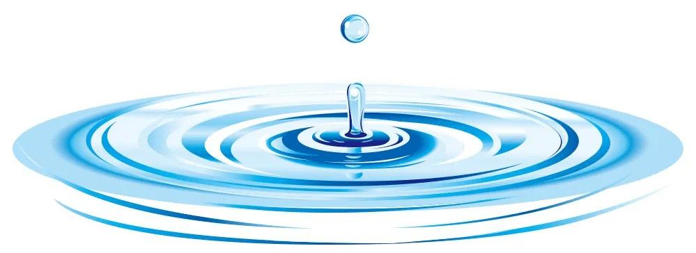 锦鲤鱼池下过滤池底粪便如何清除,锦鲤鱼池过滤系统十大注意事项