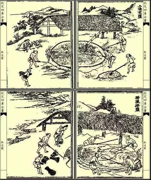 上海南汇:“金大团,银新场,铜周浦,铁惠南”这句话还灵吗?