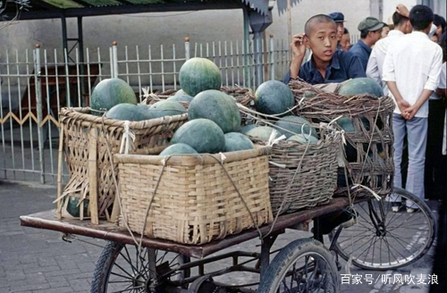 遥远的乡愁拜年视频,遥远的乡愁精彩视频
