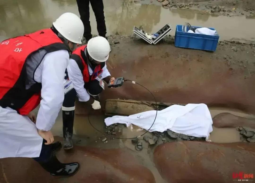 戴珍珠耳环的少女展出,戴珍珠耳环的少女隐藏的秘密