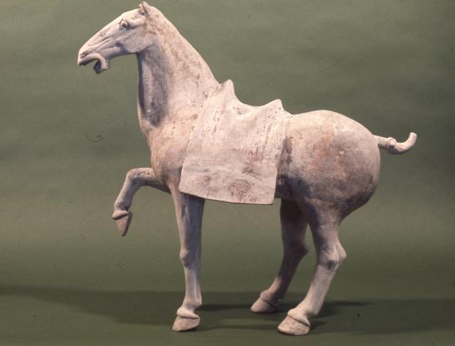 大英博物馆的中国文物唐三彩马,大英博物馆感受