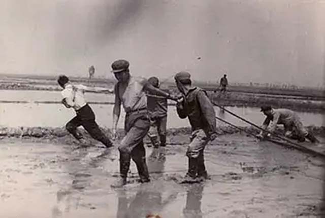 重庆29岁小伙娶53岁老妻,19岁女知青下乡嫁给农村小伙子