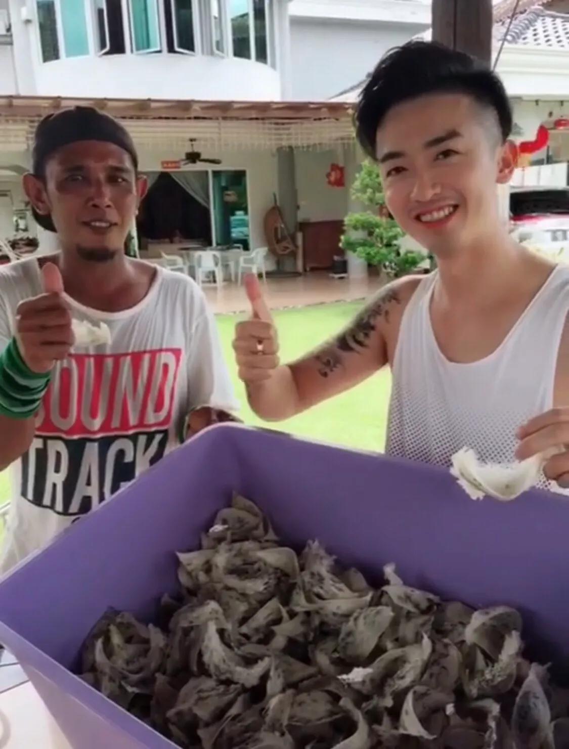 马来西亚燕窝创业,马来西亚燕窝如何推广