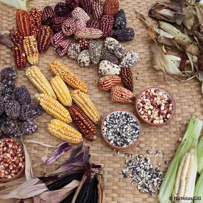 原来秘鲁的历史有那么长长长长长长长长长