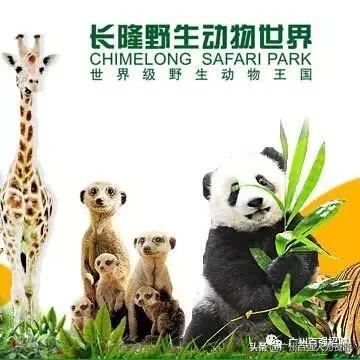 广州长隆动物世界暑假兼职,长隆野生动物园兼职要做什么