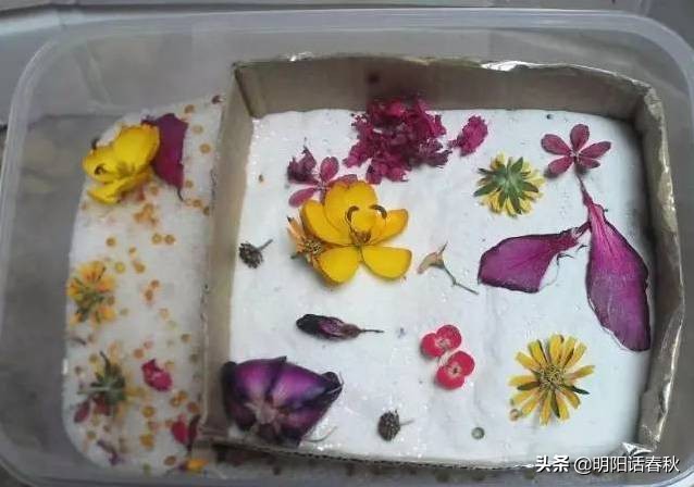 如何制作干花使其可以永久保存,如何制作干花书签