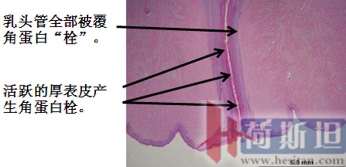 张廷青简介,张廷青
