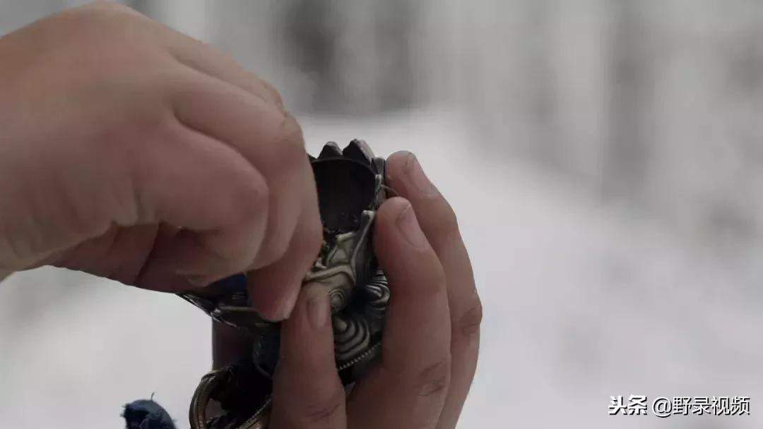 敖鲁古雅原始部落驯鹿喂草,敖鲁古雅驯鹿旅行