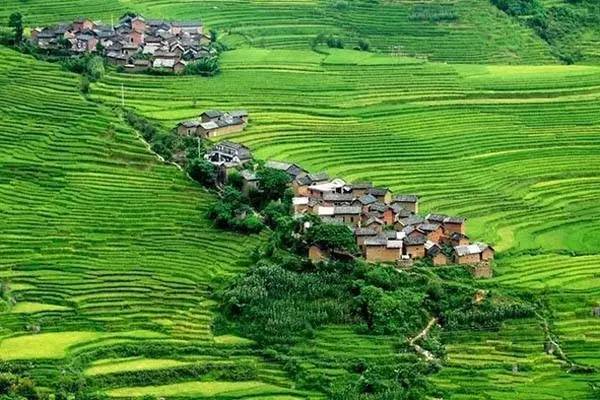 云南十六个州市的代表特色菜,云南省16州市特产排名