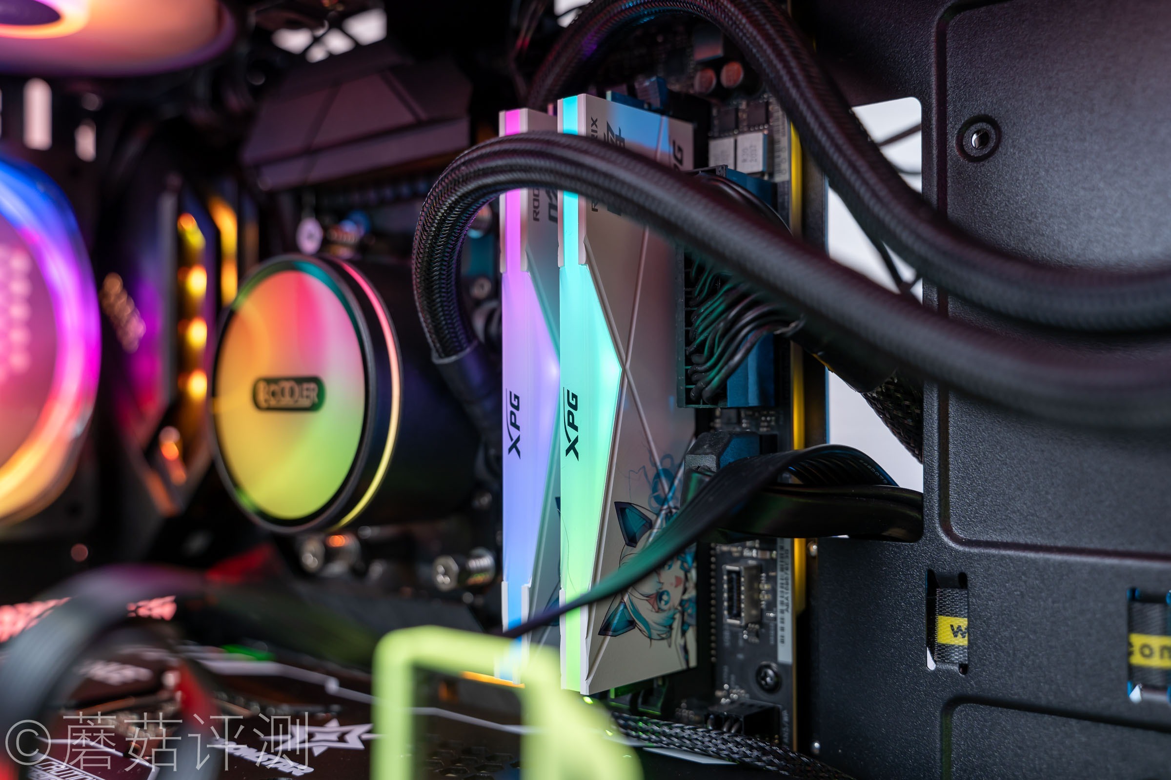 威刚龙耀d50吹雪联名用的什么颗粒,龙耀d50吹雪和普通版有什么区别