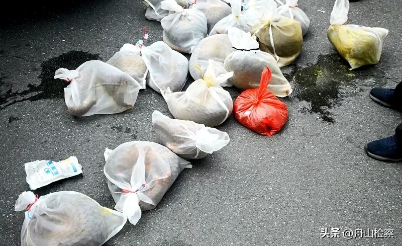 非法收购野生保护动物,非法收购野生陆生动物罪