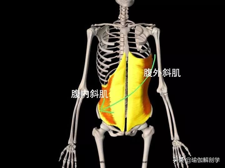 简单的瘦腰瑜伽动作视频教程,躺着双脚合并内扣的瑜伽动作