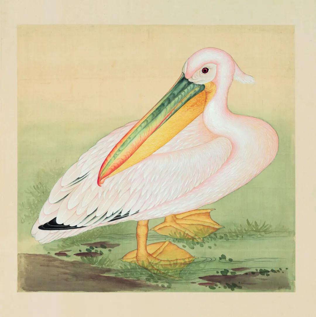 世界那么大我想去看看读书笔记,世界那么大我想去看看古诗