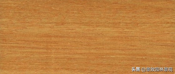 木纹最好看的木材图片,各种木材纹理图片与名称