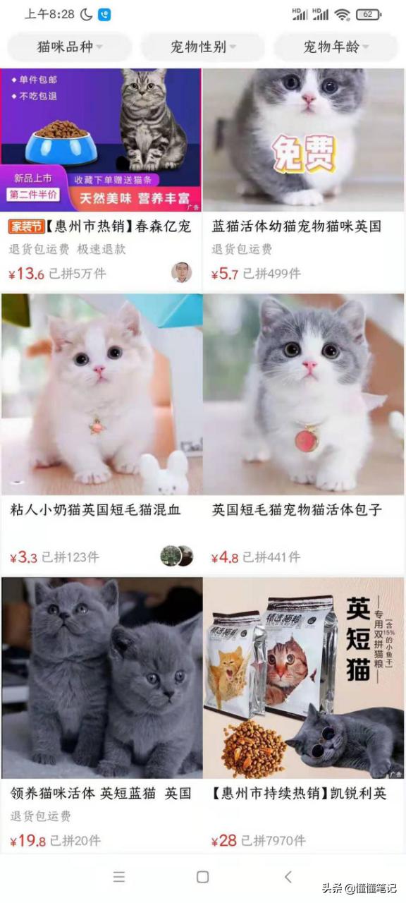 从宠物盲盒到在线“拼猫”,这些宠物商家有多损?
