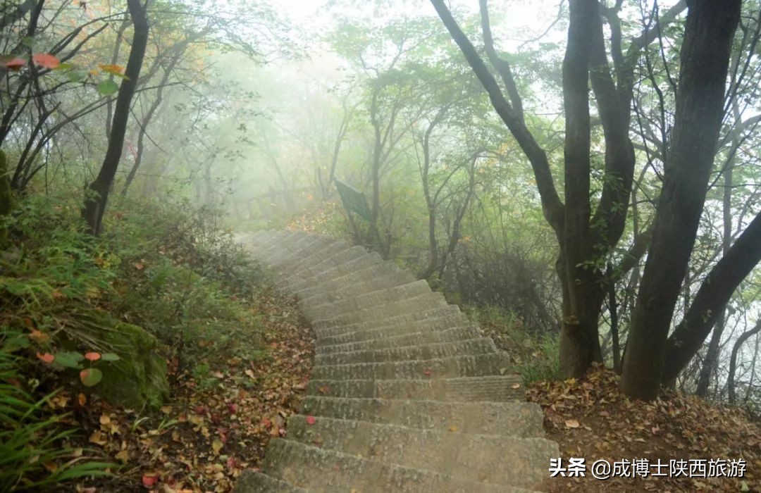 秦岭终南山旅游推荐,最近秦岭终南山景区