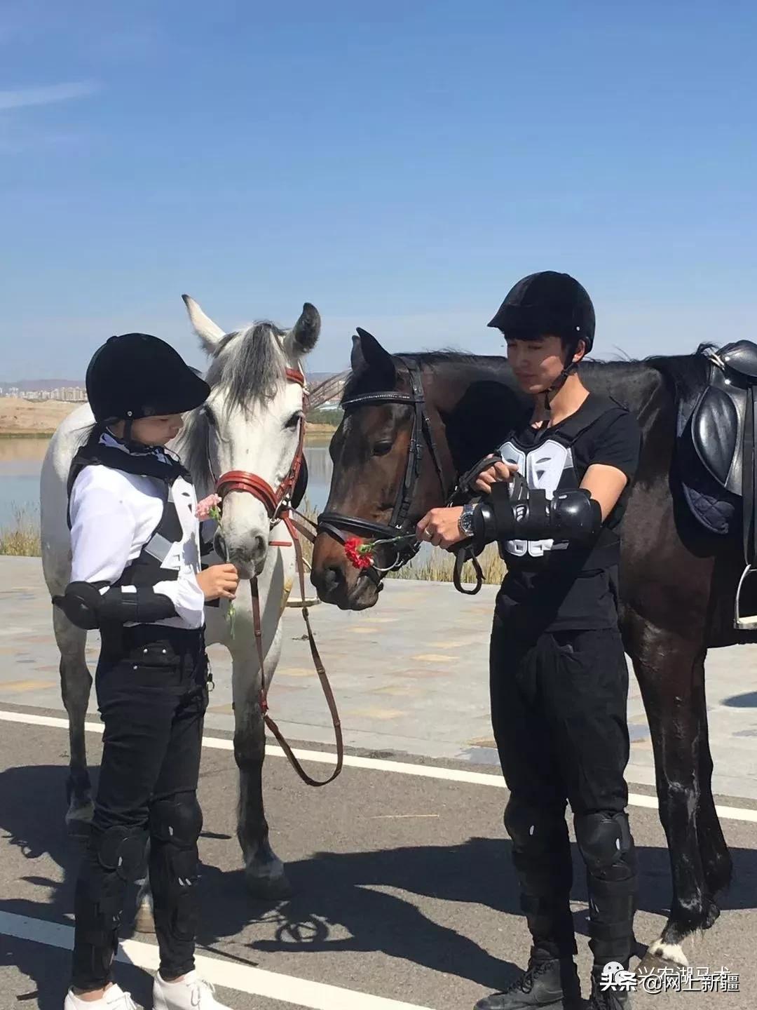 新疆那边的马是什么品种,如何挑选新疆马