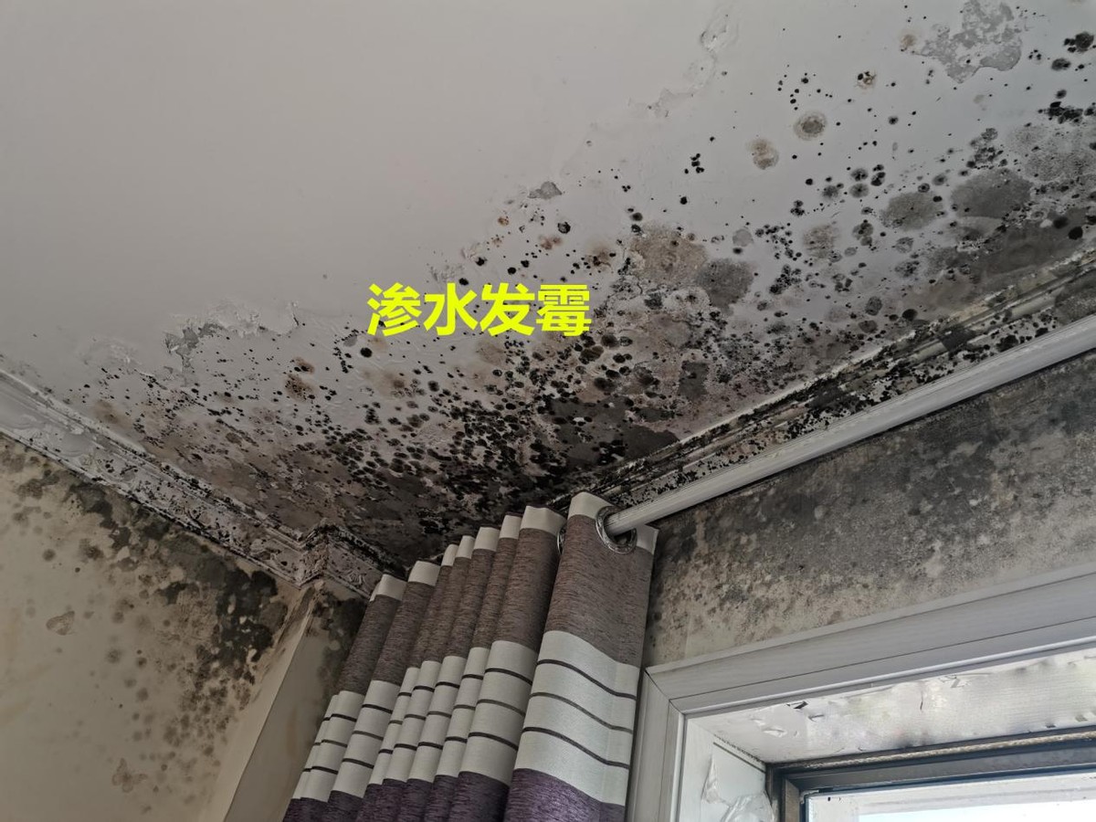 5年没漏水的顶楼会漏水吗,顶楼漏水为什么不盖顶