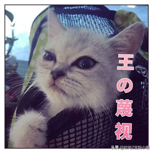 长痘痘不要怕祛痘有良方,长痘痘了该如何消痘不用任何药品