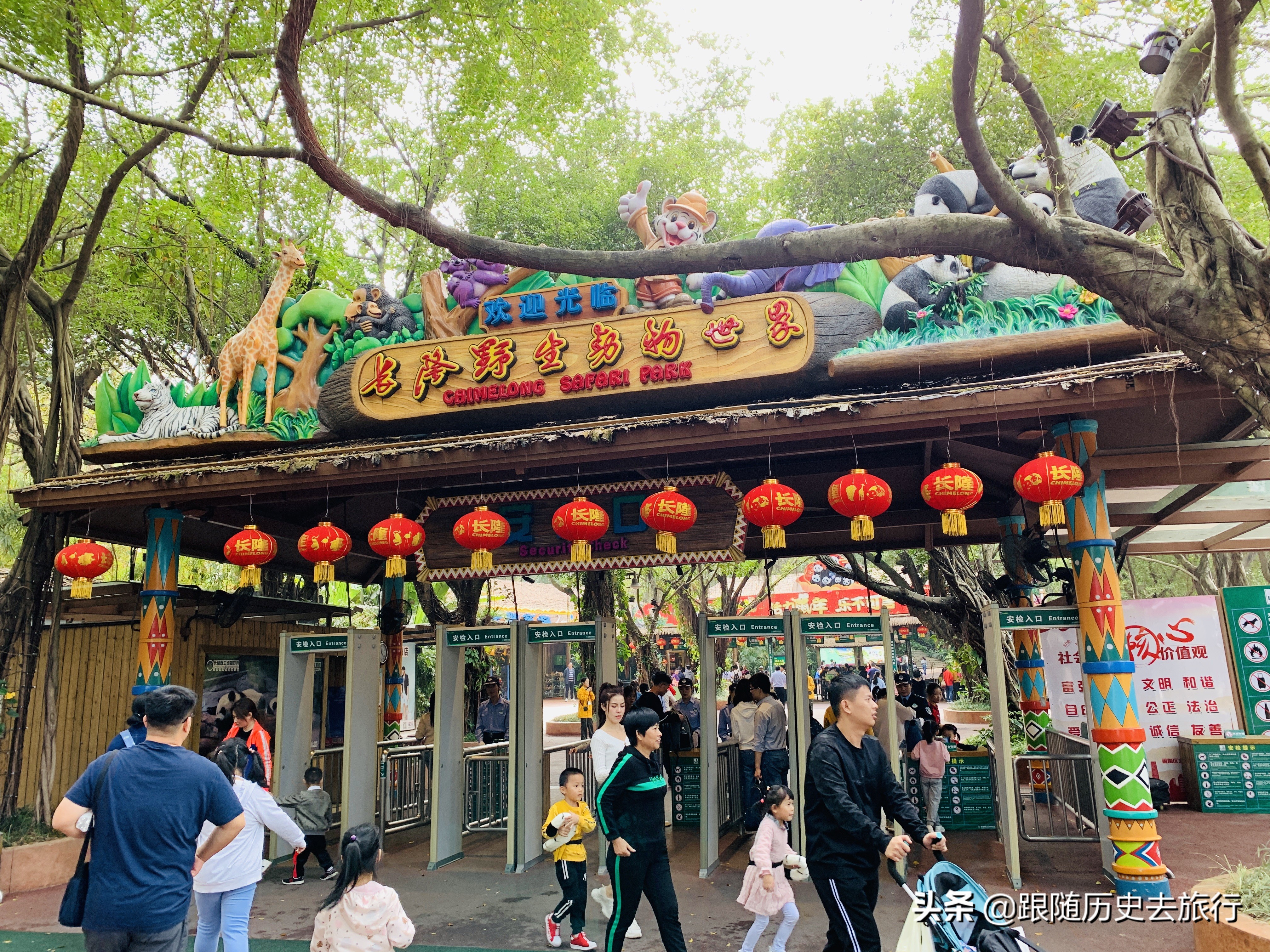 广州长隆水动物世界看大熊猫攻略,广州长隆动物园里的熊猫萌萌