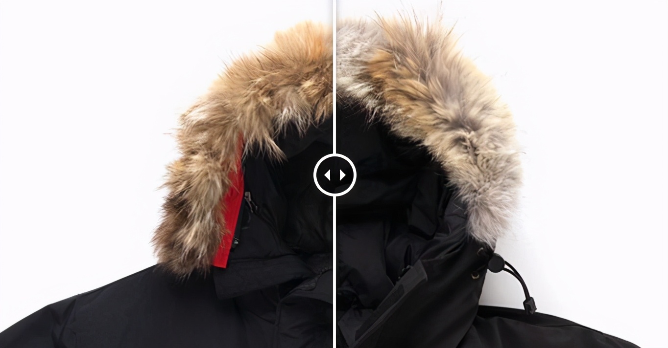 十件大鹅九件假,十件大鹅九件假四招教你辨真假