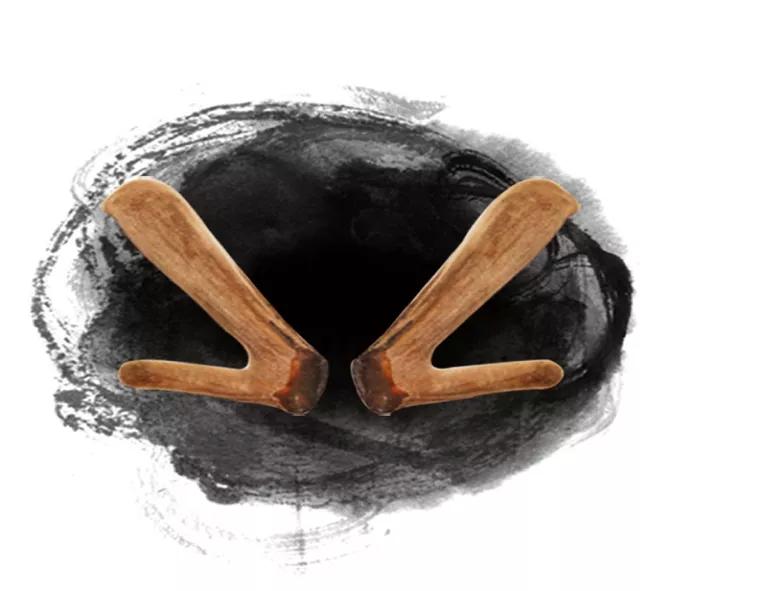 鹿茸滋补的功效与作用,鹿茸滋补方的使用方法