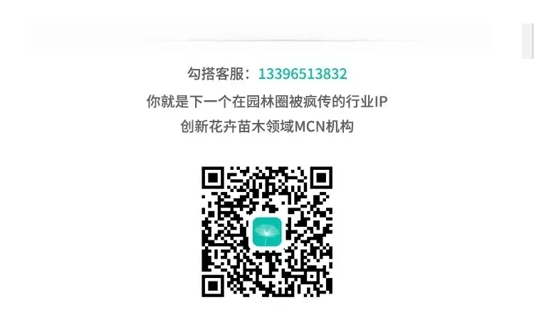 苗木规格术语有哪些,园林绿化的苗木术语