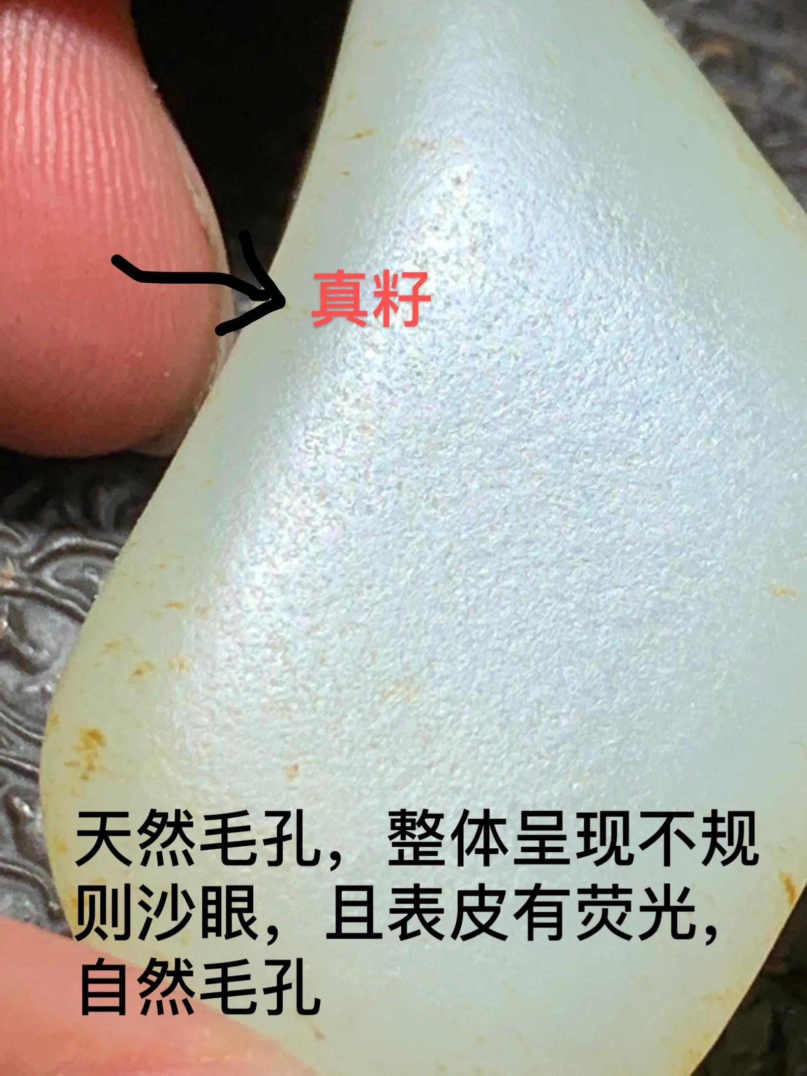 老鸟实战经验100条,老鸟早期网红