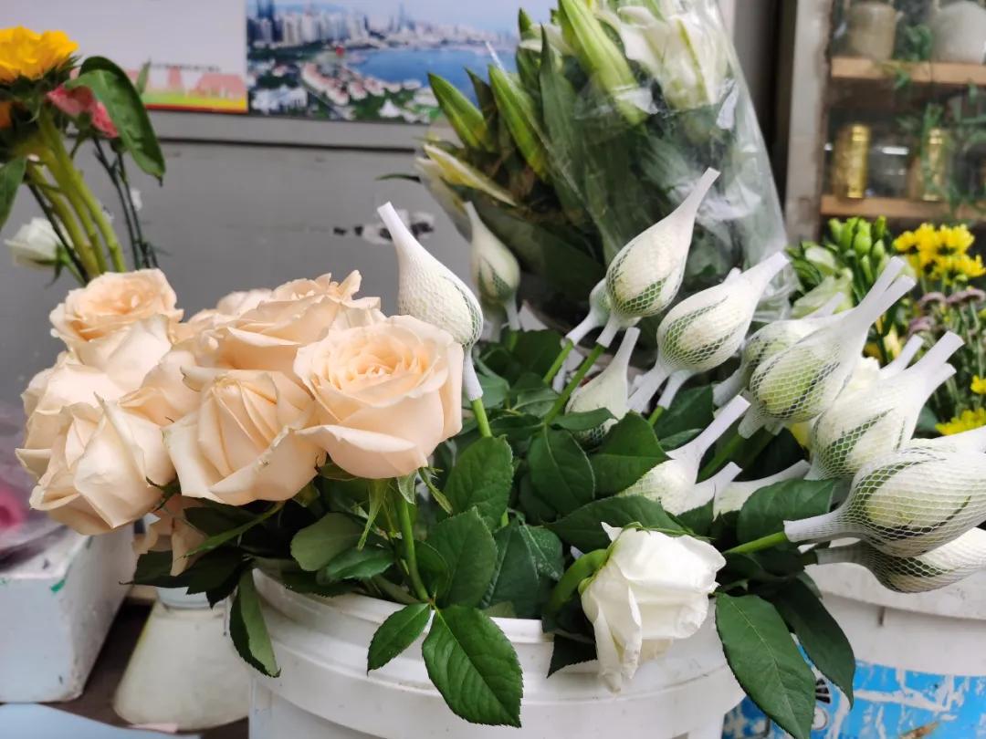 5月岭南花卉市场,红星花卉市场七夕