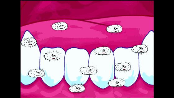 牙齿掉了要怎么做,怎么可以让牙齿掉