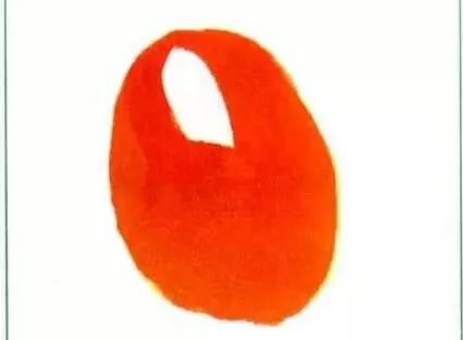 写意柿子叶的画法步骤图,徐湛写意柿子的画法