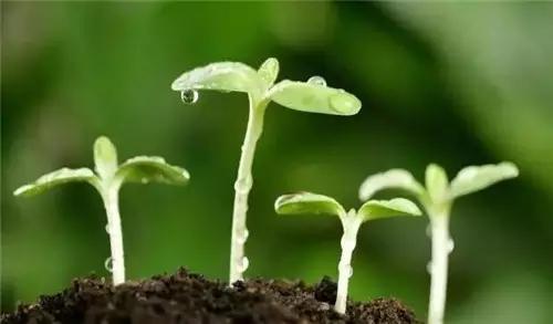 夏季甲醛挥发最厉害吗,夏季甲醛怎么去除最快最有效最好