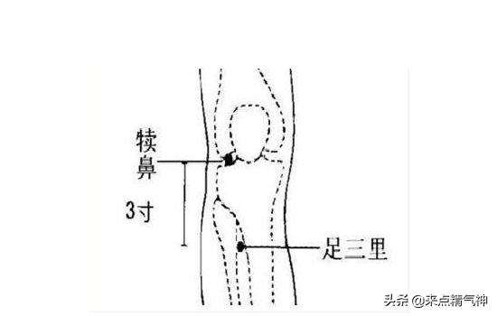 常用针灸52腧穴