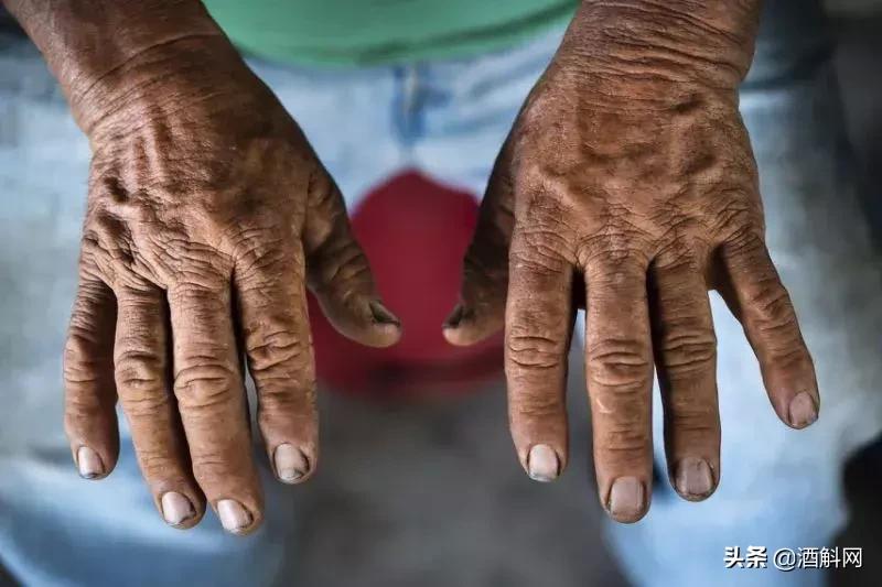 十部有趣有料的葡萄酒视频,十部顶级纪录片红酒