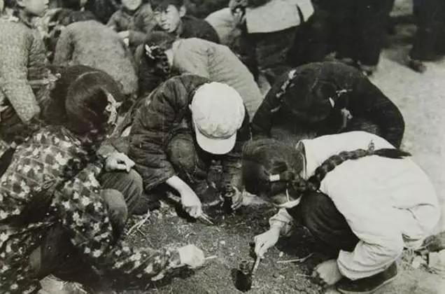 1958年灭四害,建国以后灭四害行动