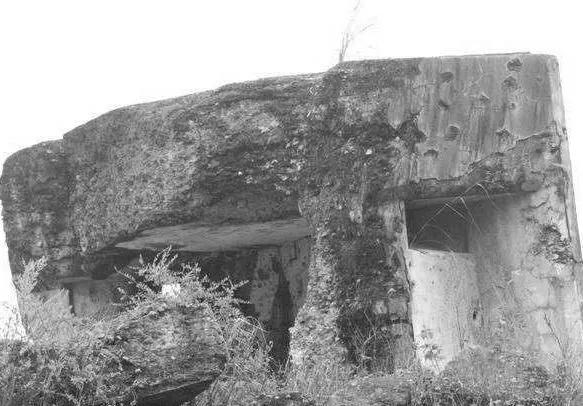 大军凯旋而归天下太平,大军凯旋归来的场面