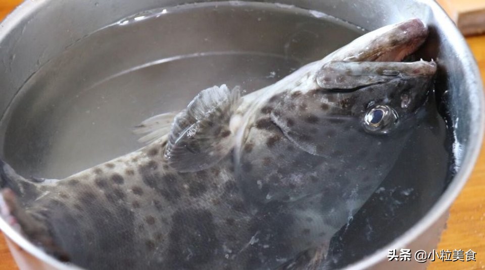 家宴上简单美味的清蒸石斑鱼,青石斑鱼除了清蒸还能怎么做
