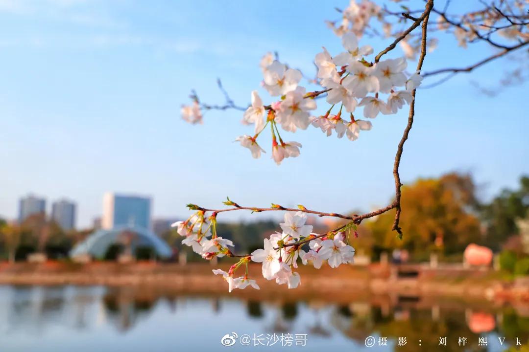 终于等到这一天轻音乐,终于等到这一天粤语