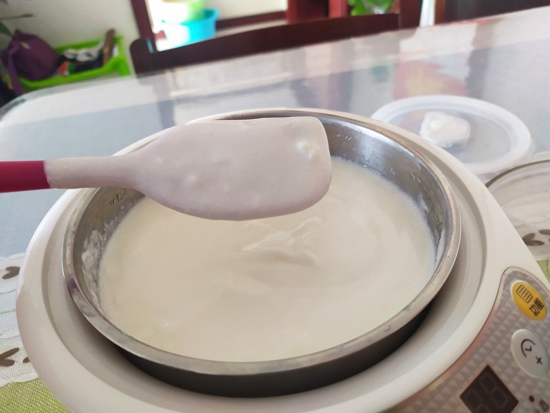 小熊酸奶机制作酸奶方法,手工酸奶发酵机