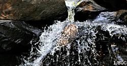 单反拍摄知识,单反镜头的术语大全