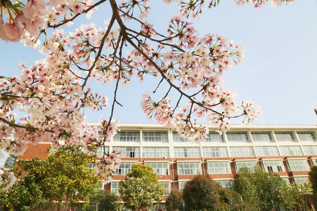 武汉外语外事职业学院全景图,武汉外语外事职业学院放寒假