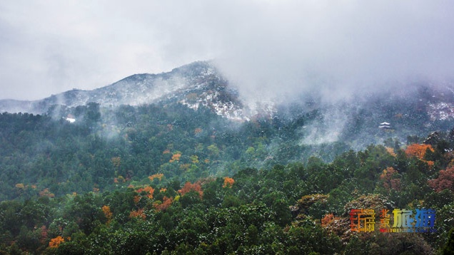 北京旅游网专访香山公园园长齐志坚、研究室主任王柯：“红绿”香山，四季皆景！