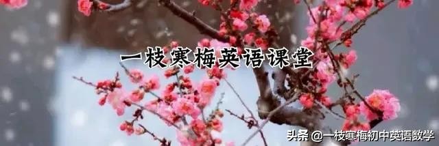 八年级英语上册1-10单元思维导图,人教版八年级英语第十单元知识点