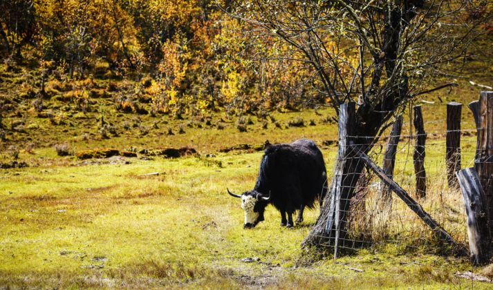 八九月，最值得去的神秘地方美丽风景。