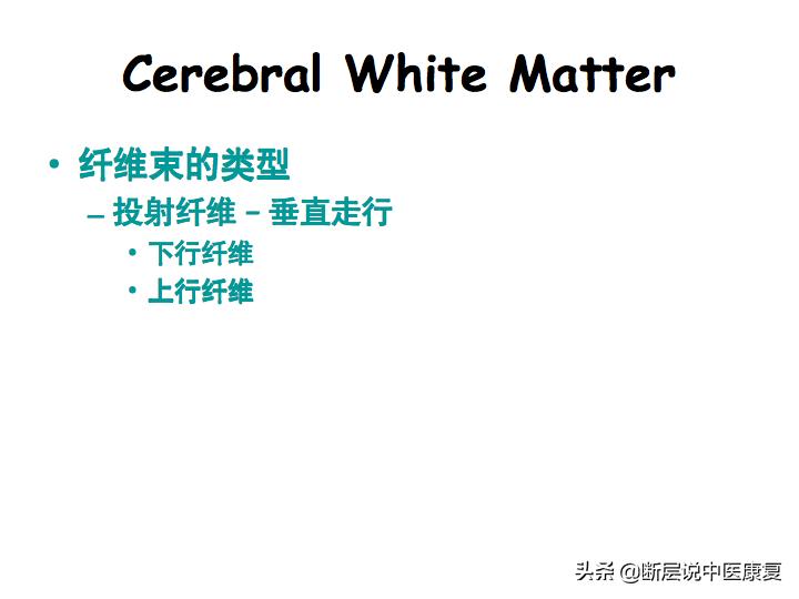 中枢神经系统断层解剖讲解,中枢神经3d解剖动画