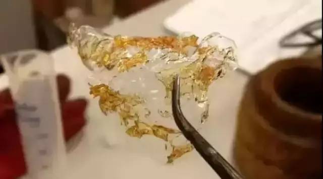 社创案例|变身环保塑料：小龙虾壳的“善终”