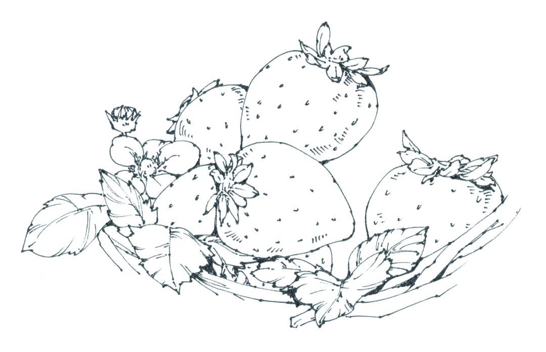 章鱼小丸子草莓,蓝莓章鱼小丸子