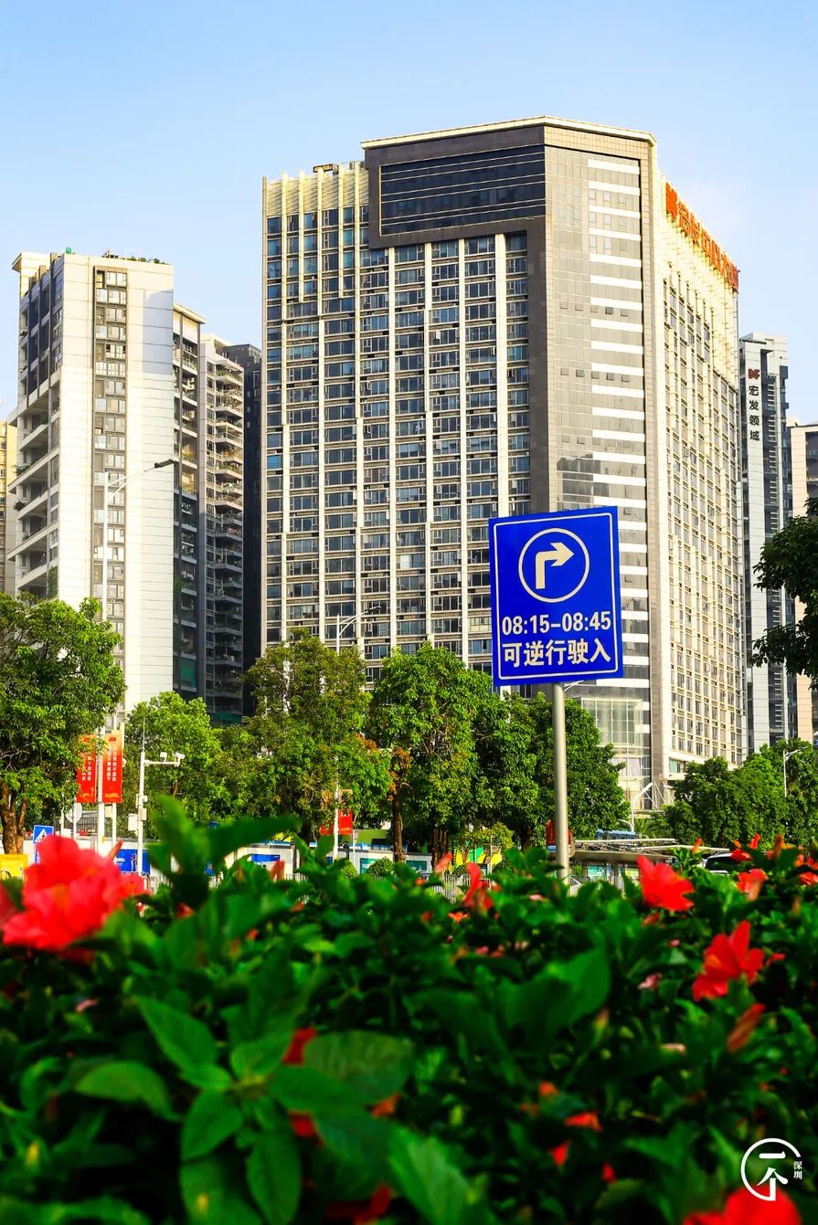 2000万在深圳能买到别墅吗,2000能在深圳租到怎样的房子